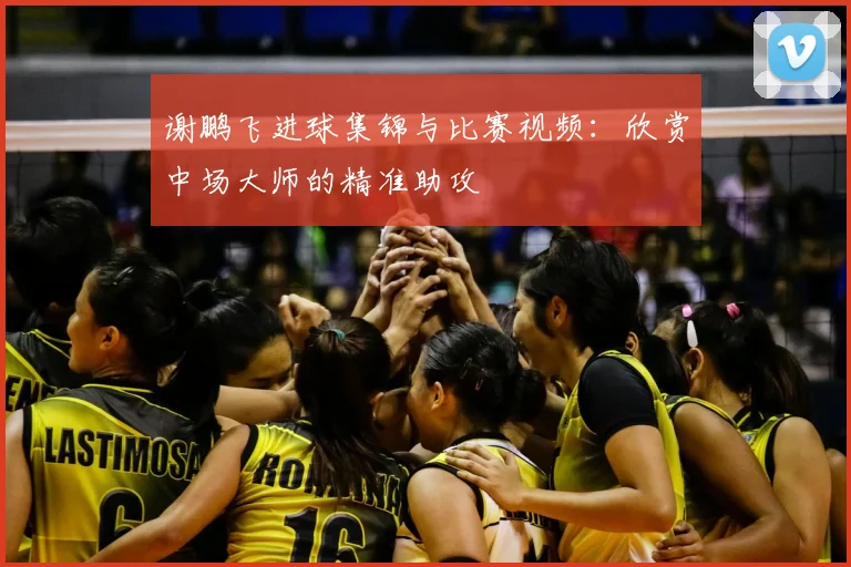 谢鹏飞进球集锦与比赛视频：欣赏中场大师的精准助攻