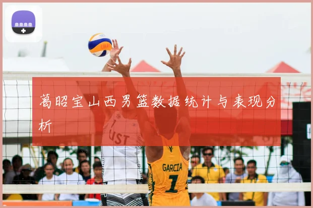 葛昭宝山西男篮数据统计与表现分析