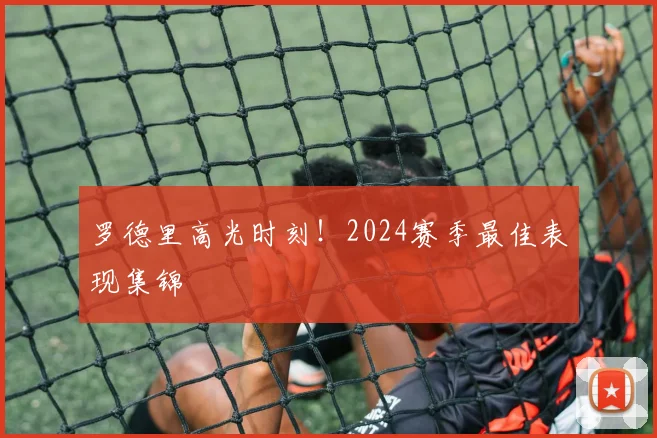 罗德里高光时刻！2024赛季最佳表现集锦